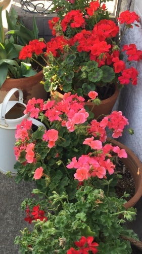5月教室  2_e0358096_20353047.jpeg