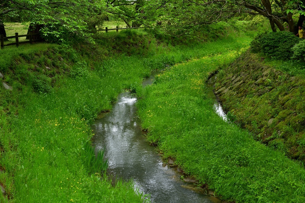d0288500_19192377.jpg