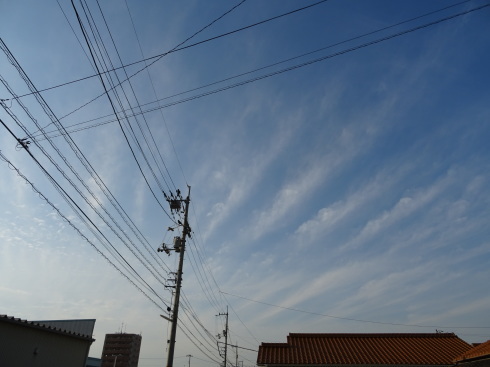 e0078900_07082061.jpg
