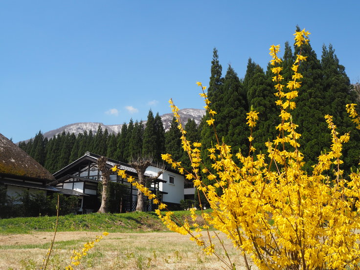 続・塩の道まつり(オットとプチ旅☆その4)_c0212604_6154480.jpg