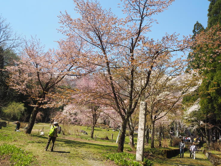 続・塩の道まつり(オットとプチ旅☆その4)_c0212604_6184045.jpg