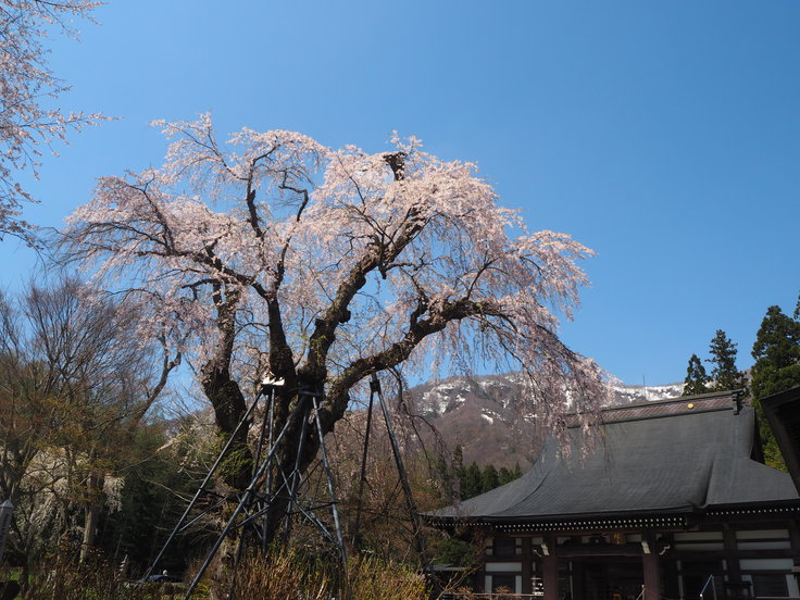 続・塩の道まつり(オットとプチ旅☆その4)_c0212604_6333954.jpg