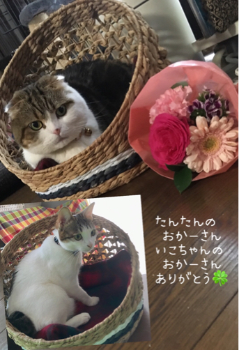 母の日_f0375804_09012770.jpg