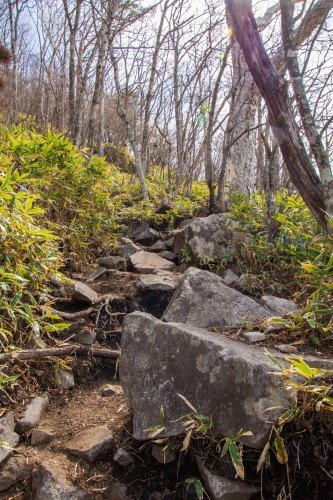 3年ぶりの黒檜、ツツジ登山コースを見つけたよ～2019年5月 赤城山_d0372906_21483631.jpg