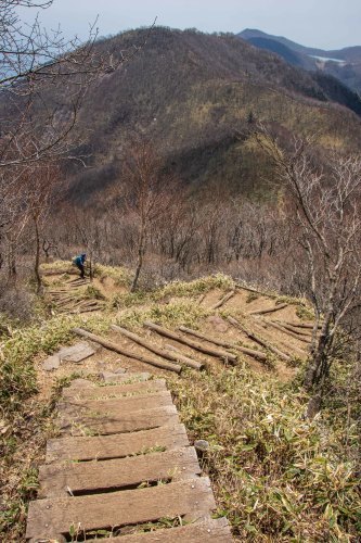 3年ぶりの黒檜、ツツジ登山コースを見つけたよ～2019年5月 赤城山_d0372906_23062565.jpg