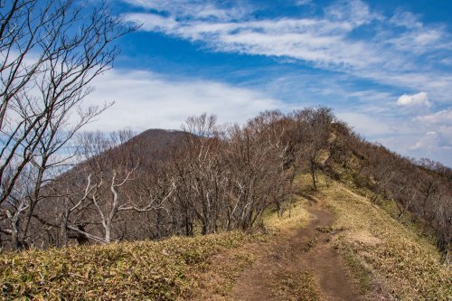 3年ぶりの黒檜、ツツジ登山コースを見つけたよ～2019年5月 赤城山_d0372906_23301316.jpg