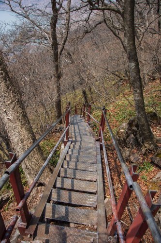 3年ぶりの黒檜、ツツジ登山コースを見つけたよ～2019年5月 赤城山_d0372906_23420114.jpg