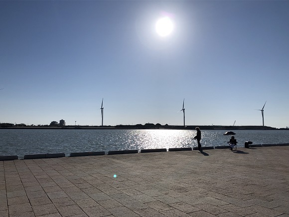 f0364707_20223554.jpg