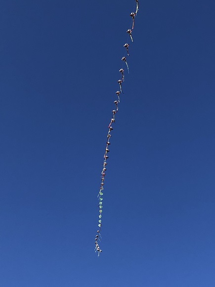 f0364707_20252947.jpg
