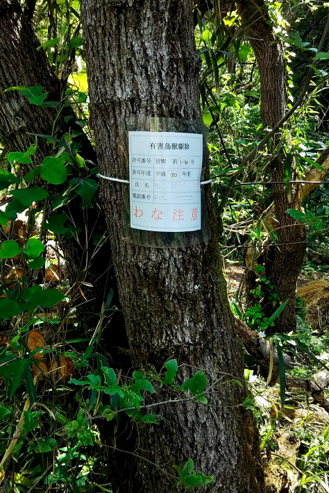 久しぶりの場所から新緑を撮った - 2019年春・秩父 -_b0190710_23561256.jpg