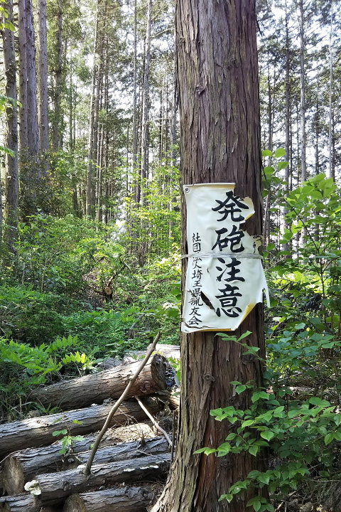 久しぶりの場所から新緑を撮った - 2019年春・秩父 -_b0190710_23561279.jpg