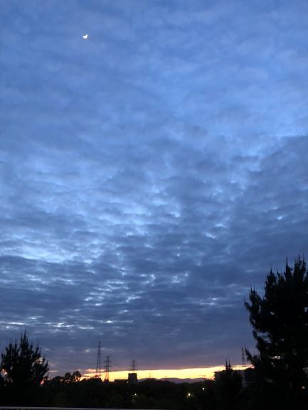 c0022913_11052991.jpg