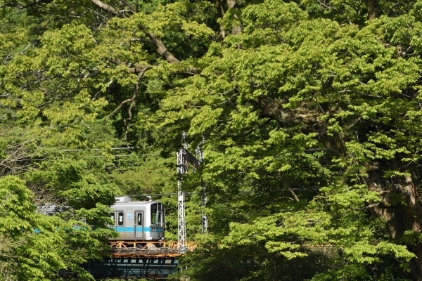 5月5日分_e0005714_23500063.jpg
