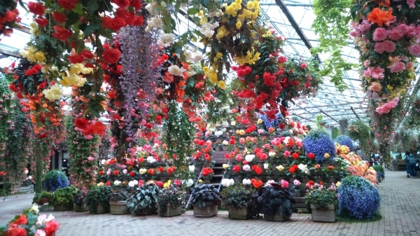 b0201617_22175700.jpg