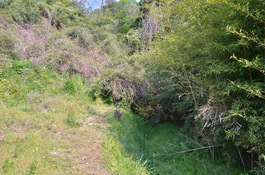 e0349817_21035727.jpg