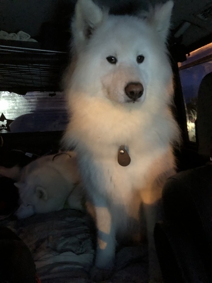a0323521_04362489.jpeg