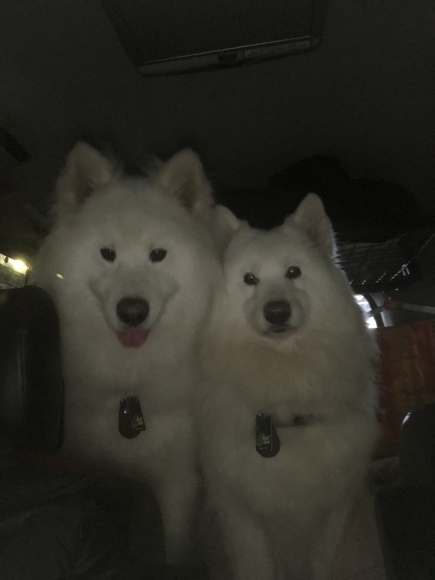 a0323521_04374893.jpeg