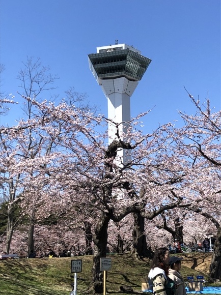 a0323521_04381931.jpeg