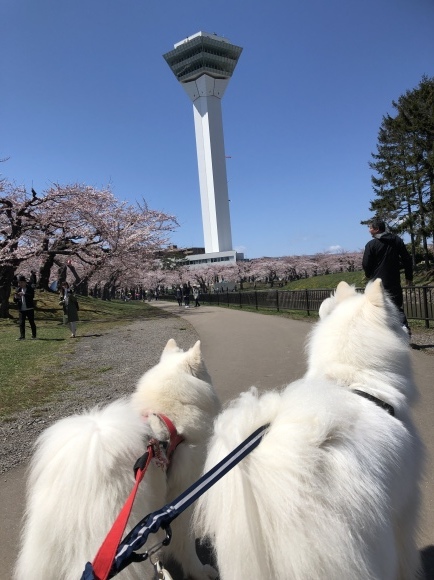 a0323521_04390497.jpeg