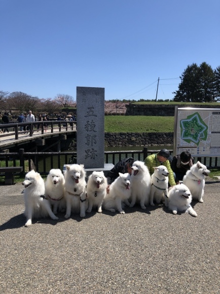 a0323521_04395960.jpeg