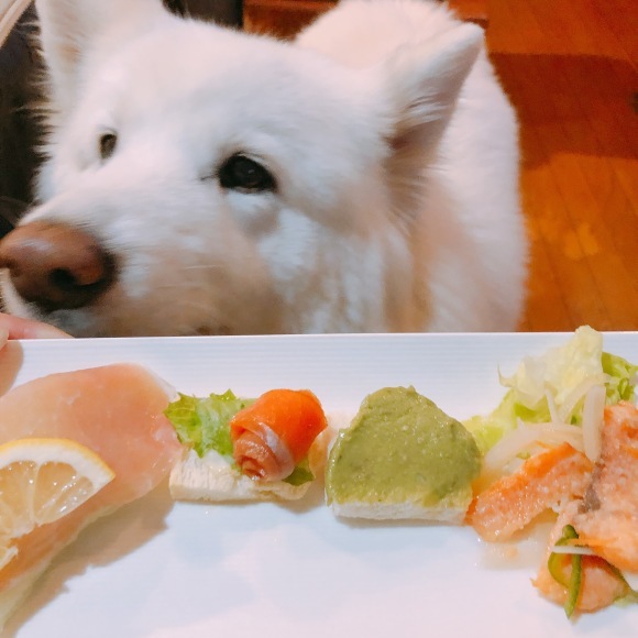 a0323521_04424786.jpeg