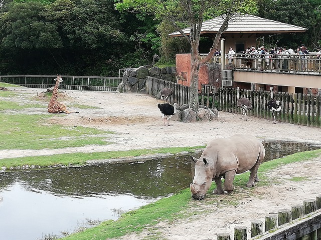 b0203727_09202958.jpg