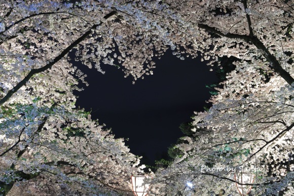 c0201929_07192267.jpg