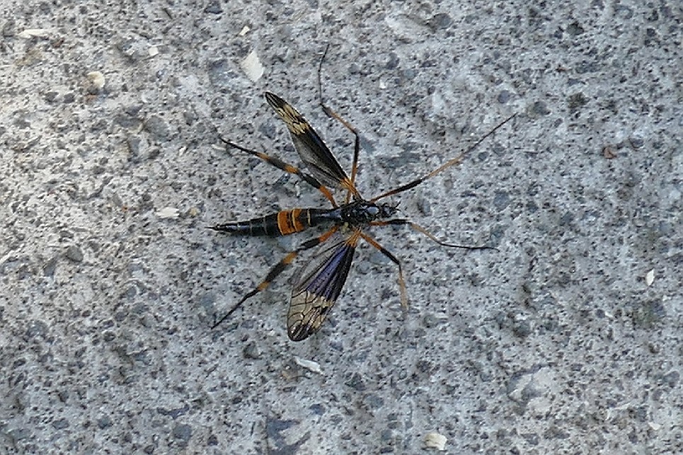 f0340732_19010735.jpg