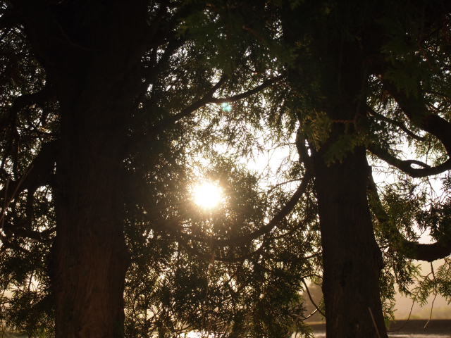 a0329935_06035980.jpeg