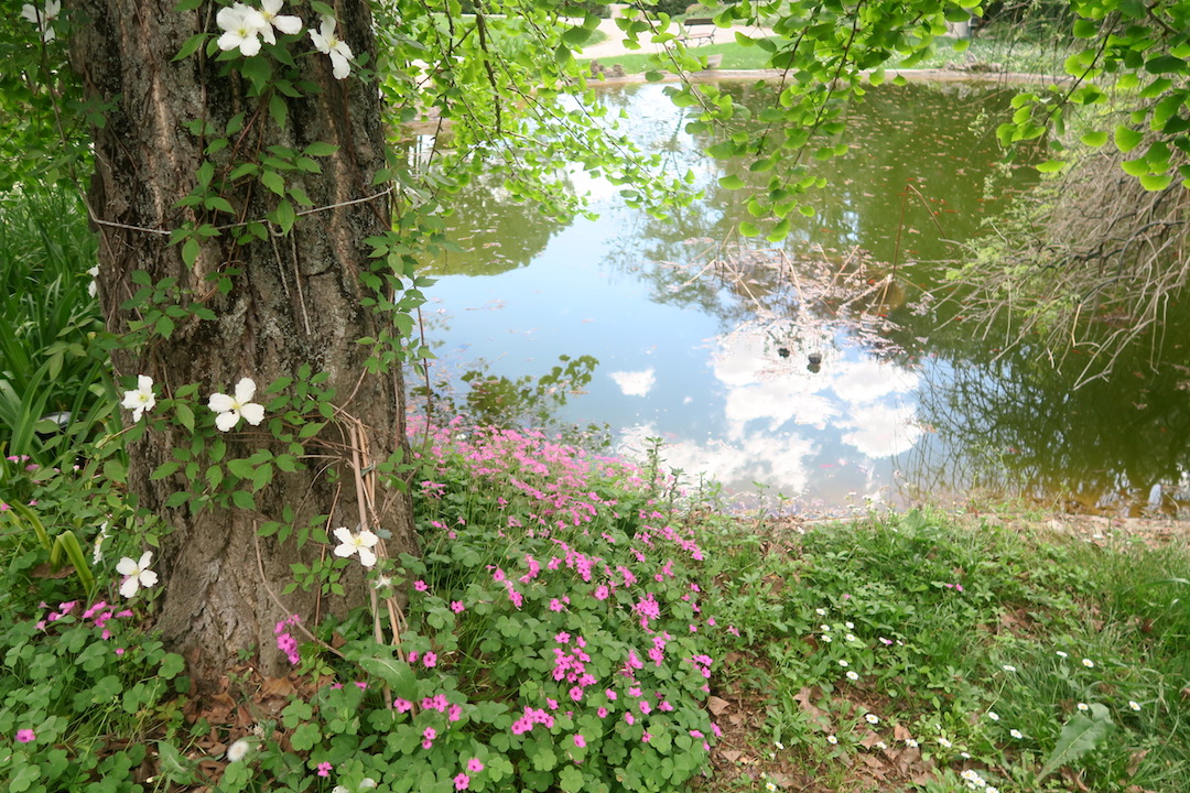牡丹咲き蛙鳴く池ゆかしき庭園、アスコリ・ピチェーノ_f0234936_717519.jpg