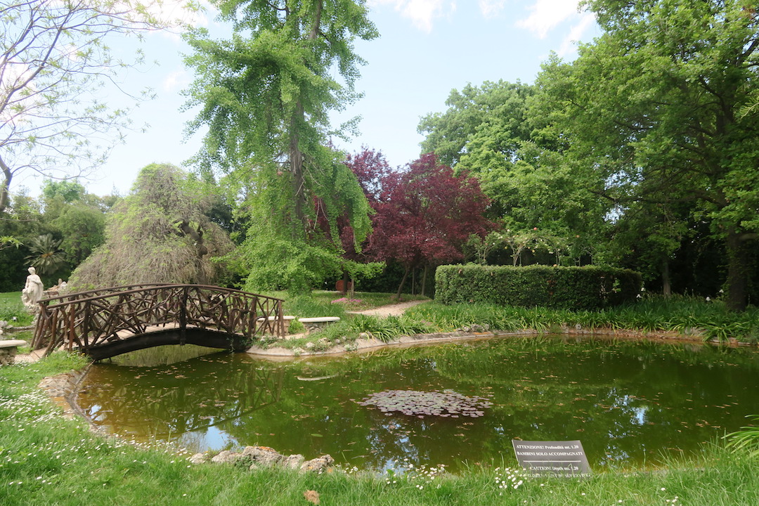 牡丹咲き蛙鳴く池ゆかしき庭園、アスコリ・ピチェーノ_f0234936_7214187.jpg