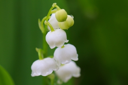 d0043737_00065258.jpg