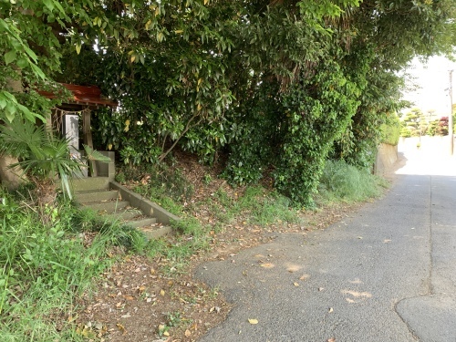 b0330040_15263160.jpeg
