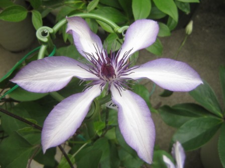 c0025140_20204750.jpg