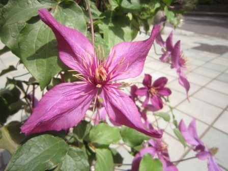 c0025140_20223669.jpg