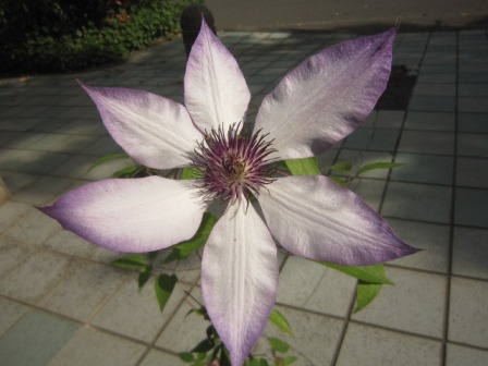 c0025140_20334890.jpg