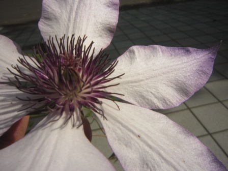 c0025140_20335751.jpg