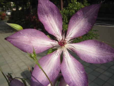 c0025140_21051715.jpg