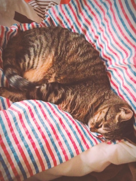a0307846_09384121.jpeg