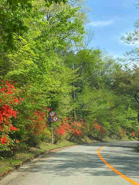 d0131847_13345073.jpg