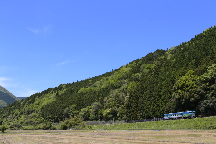 No.17-1　「竹田城跡号車両、定期運用に！！」　５月８日号vol.1_d0144549_09510028.jpg