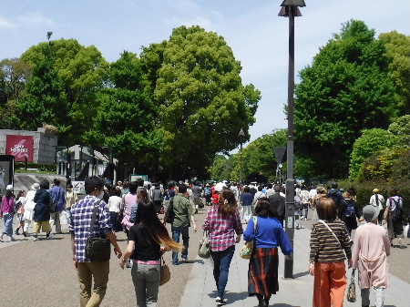 八千代高校バスケｏｂｏｇ会 ちゃりんこオヤジ 尻の向くまま東に西に