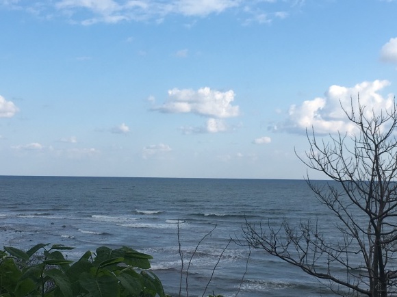 c0254151_16415833.jpeg