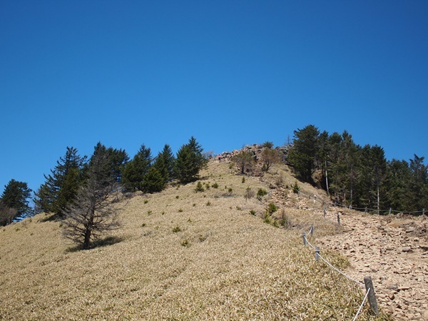 b0319255_17570533.jpg