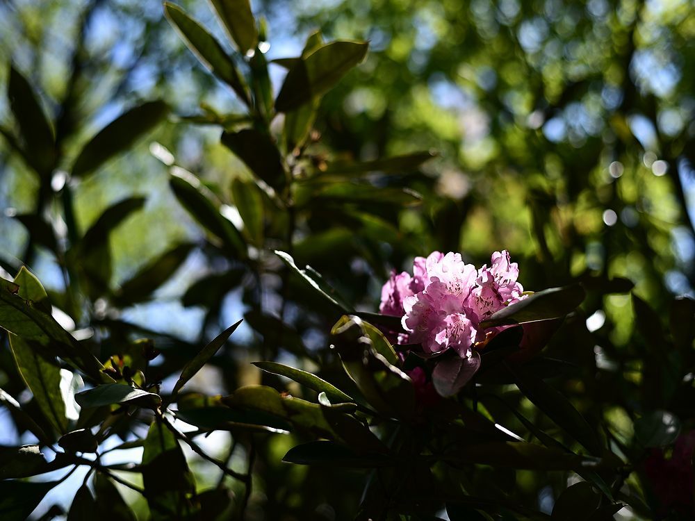 b0370155_18530857.jpg