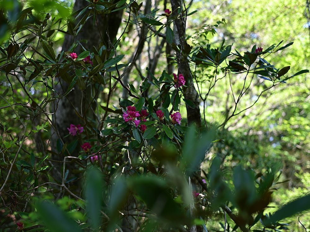 b0370155_18531135.jpg