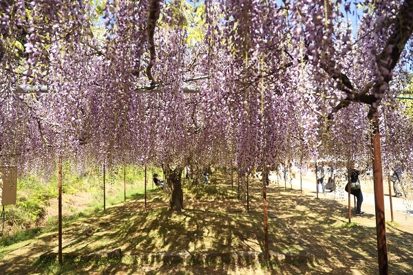 b0328557_12251489.jpg