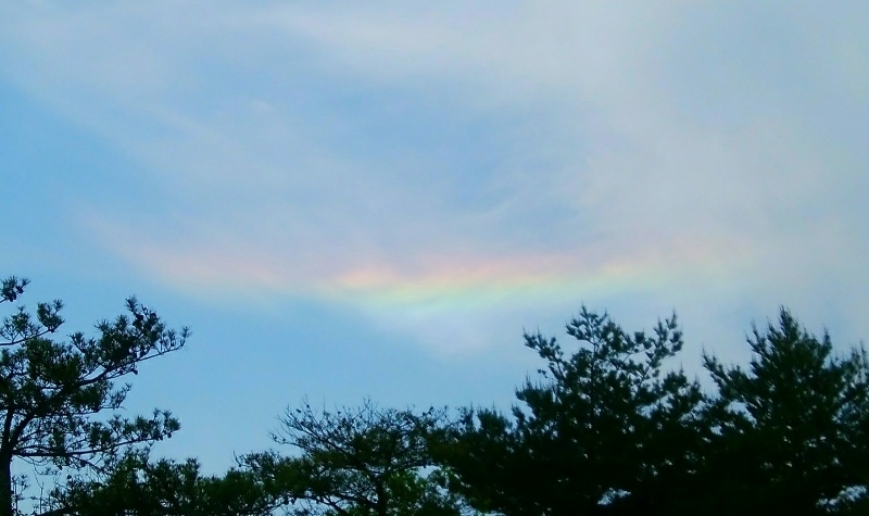 f0097157_22325672.jpg