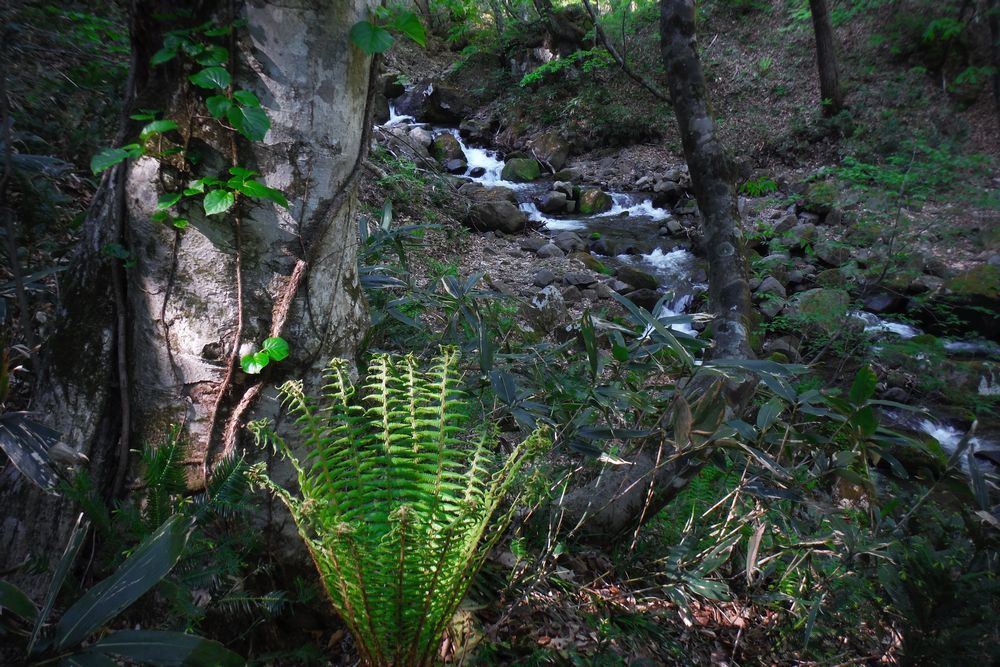 c0294658_22143681.jpg