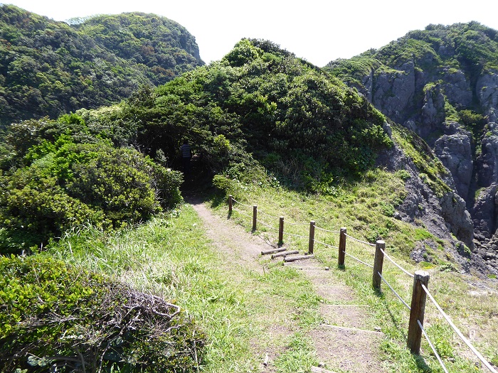c0222861_2017254.jpg